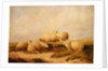 Sheep by Thomas Sidney Cooper