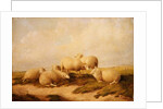Sheep by Thomas Sidney Cooper