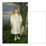 Portrait of Miss Catherine Howard, c.1904 by Ernest Leopold Sichel