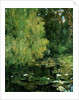 The Lily Pool, 1905 by Tom Clifton Butterfield