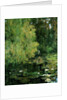 The Lily Pool, 1905 by Tom Clifton Butterfield