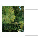 The Lily Pool, 1905 by Tom Clifton Butterfield