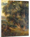 Tree study by Arthur Reginald Smith