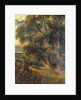 Tree study by Arthur Reginald Smith