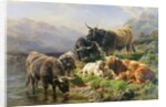 Highland Cattle by William Watson