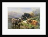 Highland Cattle by William Watson