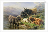 Highland Cattle by William Watson