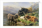 Highland Cattle by William Watson