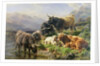 Highland Cattle by William Watson