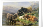 Highland Cattle by William Watson