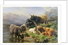 Highland Cattle by William Watson