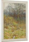 Our Primrose Wood, 1913 by Helen Allingham