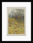 Our Primrose Wood, 1913 by Helen Allingham