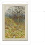 Our Primrose Wood, 1913 by Helen Allingham