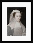 Mary Stuart, 1560 by Jean Clouet