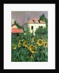 Sunflowers in the Garden at Petit Gennevilliers by Gustave Caillebotte