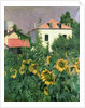 Sunflowers in the Garden at Petit Gennevilliers by Gustave Caillebotte