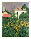 Sunflowers in the Garden at Petit Gennevilliers by Gustave Caillebotte