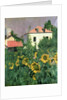 Sunflowers in the Garden at Petit Gennevilliers by Gustave Caillebotte