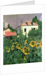 Sunflowers in the Garden at Petit Gennevilliers by Gustave Caillebotte