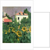 Sunflowers in the Garden at Petit Gennevilliers by Gustave Caillebotte