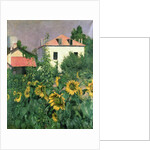 Sunflowers in the Garden at Petit Gennevilliers by Gustave Caillebotte