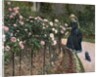Roses in the Garden at Petit Gennevilliers, 1886 by Gustave Caillebotte