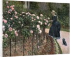 Roses in the Garden at Petit Gennevilliers, 1886 by Gustave Caillebotte