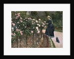 Roses in the Garden at Petit Gennevilliers, 1886 by Gustave Caillebotte
