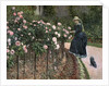 Roses in the Garden at Petit Gennevilliers, 1886 by Gustave Caillebotte