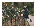Roses in the Garden at Petit Gennevilliers, 1886 by Gustave Caillebotte