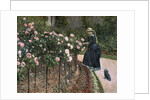 Roses in the Garden at Petit Gennevilliers, 1886 by Gustave Caillebotte