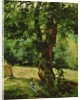 Woman Seated Beneath a Tree by Gustave Caillebotte
