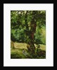 Woman Seated Beneath a Tree by Gustave Caillebotte