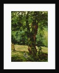 Woman Seated Beneath a Tree by Gustave Caillebotte