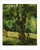 Woman Seated Beneath a Tree by Gustave Caillebotte