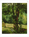 Woman Seated Beneath a Tree by Gustave Caillebotte