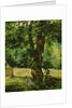 Woman Seated Beneath a Tree by Gustave Caillebotte