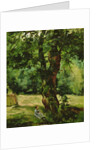 Woman Seated Beneath a Tree by Gustave Caillebotte