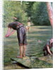 Bathers on the Banks of the Yerres, 1878 by Gustave Caillebotte