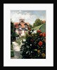 The Dahlias, garden at Petit Gennevilliers, 1893 by Gustave Caillebotte