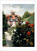 The Dahlias, garden at Petit Gennevilliers, 1893 by Gustave Caillebotte