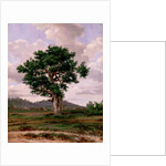 Le Rageur by Jules Dupre