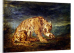Tiger licking a paw by Ferdinand Victor Eugene Delacroix