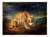 Tiger licking a paw by Ferdinand Victor Eugene Delacroix