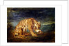 Tiger licking a paw by Ferdinand Victor Eugene Delacroix