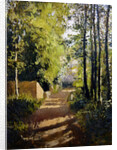 Path in a wood in Normandy by Gustave Caillebotte