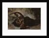 Tiger attacking a horse by Ferdinand Victor Eugene Delacroix