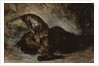 Tiger attacking a horse by Ferdinand Victor Eugene Delacroix