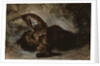 Tiger attacking a horse by Ferdinand Victor Eugene Delacroix
